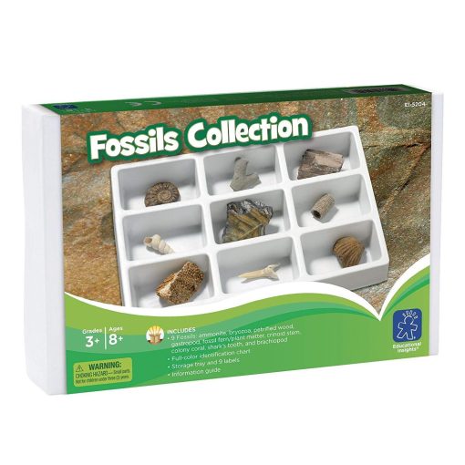 Kit paleontologie - Fosile, Educational Insights, EI-5204, 086002052049 - imagine 2