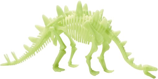 Schelet Stegosaurus reflectorizant, Brainstorm, B8805, 5060122734257 - imagine 2