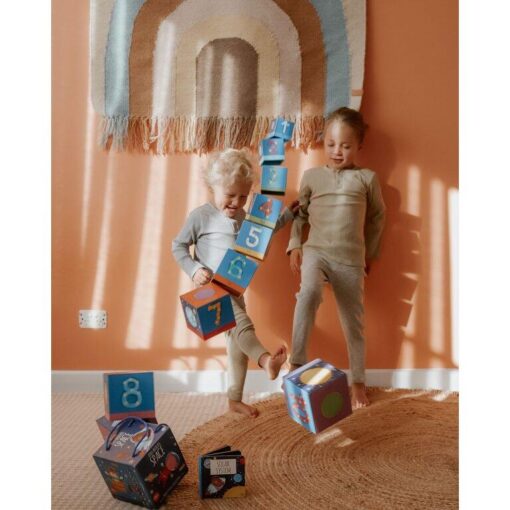 Eco Blocks - Sistemul solar, Sassi, 978-88-303-0554-0, 9788830305540 - imagine 6
