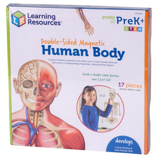 Corpul uman - set magnetic, Learning Resources, LER6044, 765023060447