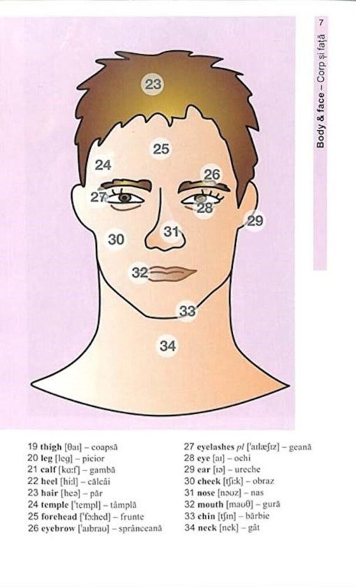 Vocabularul de baza in imagini - Limba engleza, Corint, EDU254, 9786067820287 - imagine 8