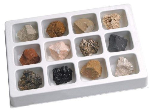 Kit paleontologie - Roci sedimentare, Educational Insights, EI-5208, 086002052087