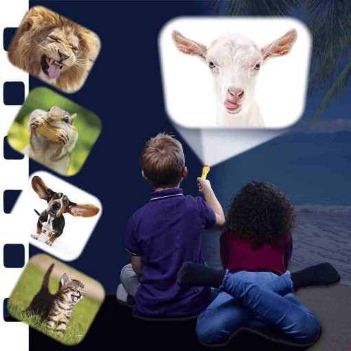 Proiector tip lanterna - Animalute haioase, Brainstorm, E2072, 5060122734776 - imagine 5