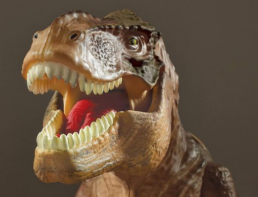 Proiector 2 in 1 - T Rex, Brainstorm, E2028, 5060122731928 - imagine 5