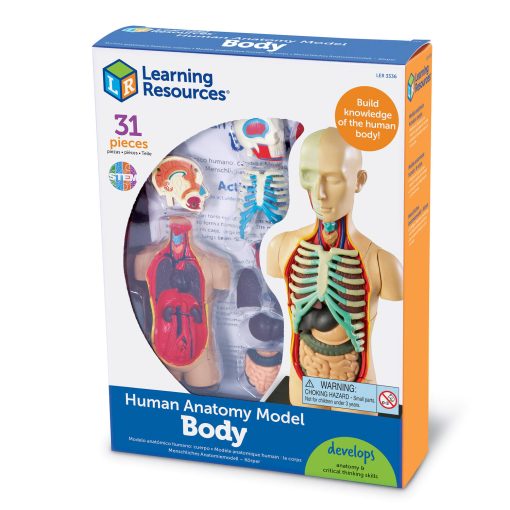 Macheta corpul uman, Learning Resources, LER3336, 765023033366 - imagine 5