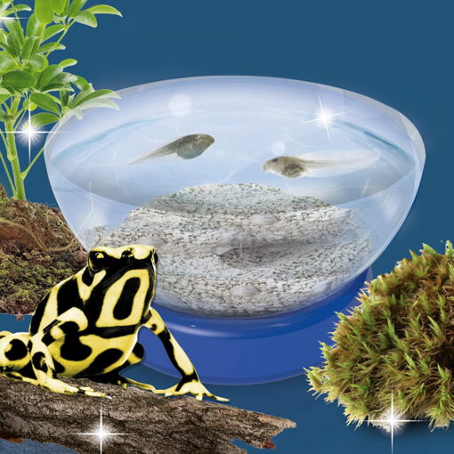 Experimentele micului geniu - Habitate si ecosisteme, LISCIANI, LEX62300, 8008324080458 - imagine 3