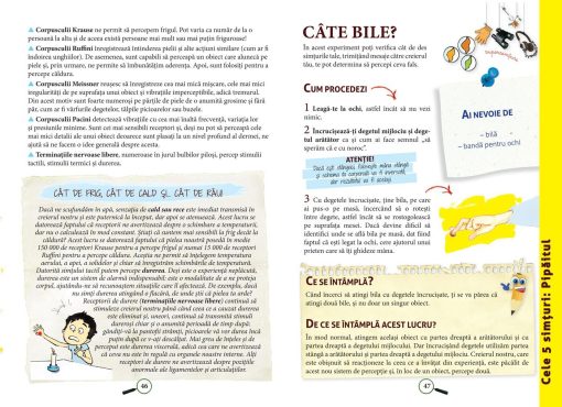 Enciclopedia experimentelor in practica, DPH, 978-606-048-226-0, 5948495003968 - imagine 4