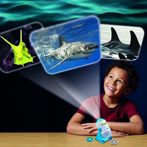 Proiector 2 in 1 - Animalute marine, Brainstorm, E2059, 5060122733694 - imagine 5