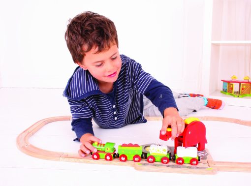 Macara-Dinozaur, BIGJIGS Toys, BJT241, 691621092415 - imagine 5