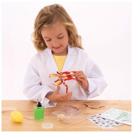 Horrible Science: Gandaceii infricosatori, Galt, 1105533, 5011979590237 - imagine 2