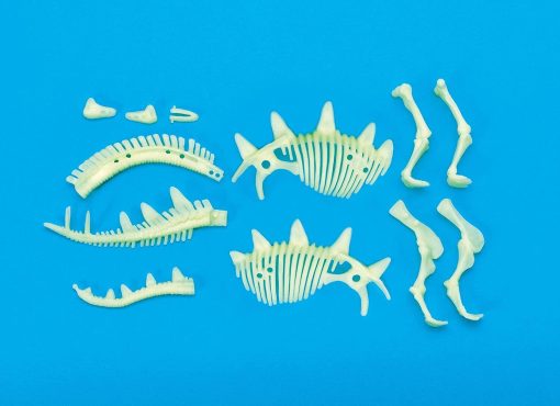 Schelet Stegosaurus reflectorizant, Brainstorm, B8805, 5060122734257 - imagine 4