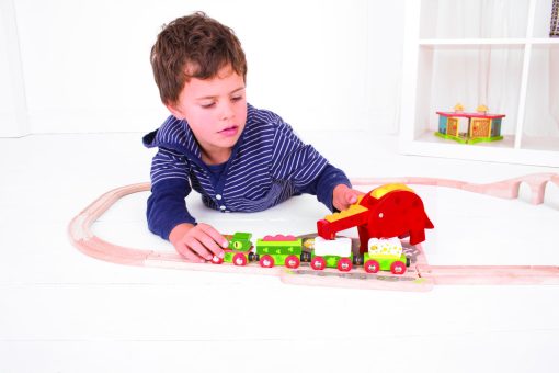 Macara-Dinozaur, BIGJIGS Toys, BJT241, 691621092415 - imagine 6