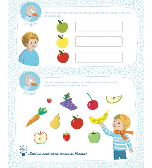 Caietul meu de activitati Montessori, DPH, 978-606-048-239-0, 5948495004057 - imagine 5
