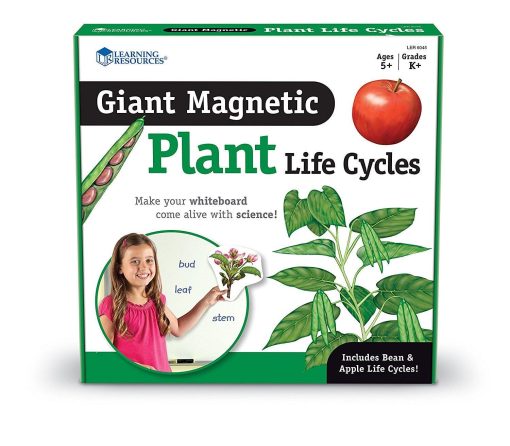 Ciclul vietii plantei - set magnetic, Learning Resources, LER6045, 765023060454 - imagine 4