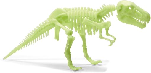 Schelet T-Rex reflectorizant, Brainstorm, B8803, 5060122734233 - imagine 2