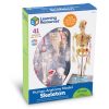 Macheta corpul uman - Schelet, Learning Resources, LER3337, 765023033373