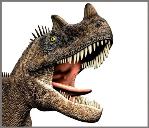 Proiector 2 in 1 - Dinozauri, Brainstorm, E2046, 5060122732895 - imagine 7