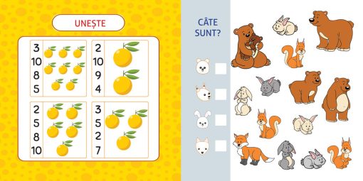 Activitati matematice pentru prescolari, DPH, 978-606-048-430-1, 5948495006174 - imagine 5
