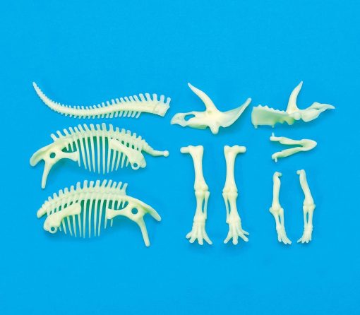 Schelet Triceratops reflectorizant, Brainstorm, B8804, 5060122734240 - imagine 3
