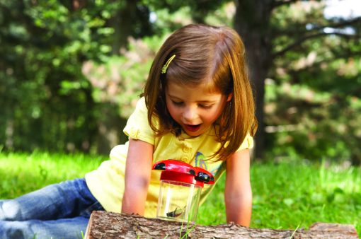 Borcan pentru observarea insectelor, Learning Resources, LER2780, 765023827804 - imagine 6