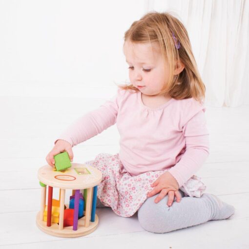 Primul meu cadru pentru sortat, BIGJIGS Toys, BB096, 691621530962 - imagine 3