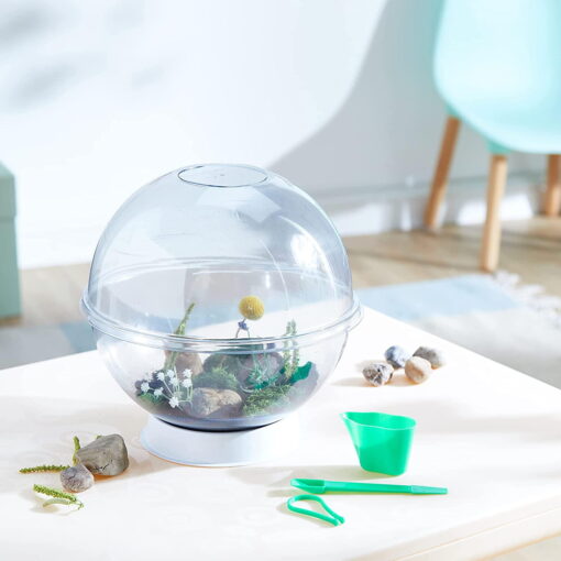 Experimentele micului geniu - Habitate si ecosisteme, LISCIANI, LEX62300, 8008324080458 - imagine 4