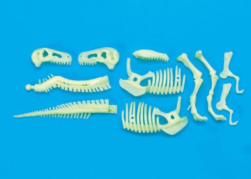 Schelet T-Rex reflectorizant, Brainstorm, B8803, 5060122734233 - imagine 3