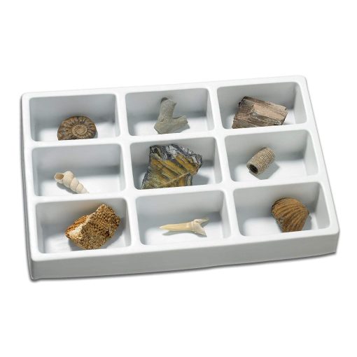 Kit paleontologie - Fosile, Educational Insights, EI-5204, 086002052049