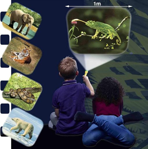 Proiector tip lanterna - Animale salbatice, Brainstorm, E2012, 5060122731379 - imagine 5